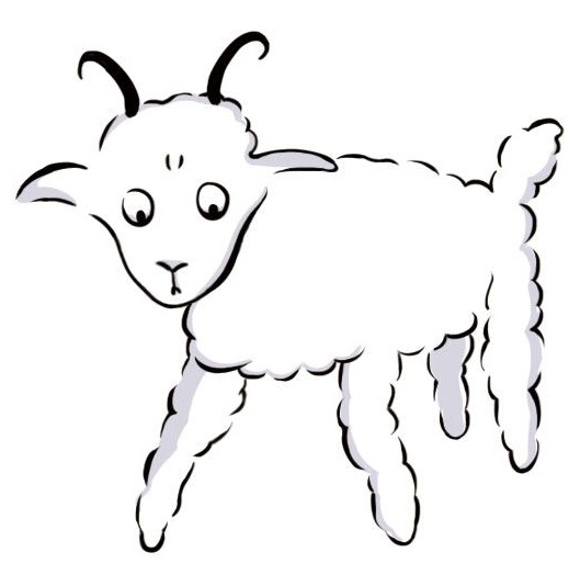 06